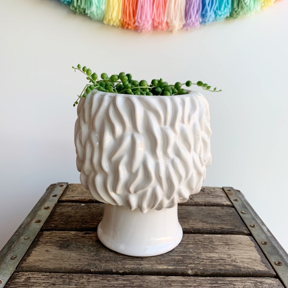 Mustache Gentleman Man Bust Planter Pot White - Picture 5 of 7